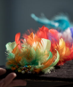 Pross / Peaehe “tahaks lennata”