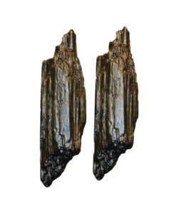 Earrings- „Black Sticks“