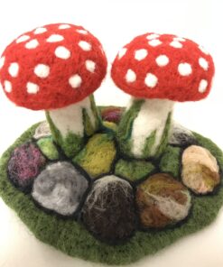 Nõelvilditud kärbseseen